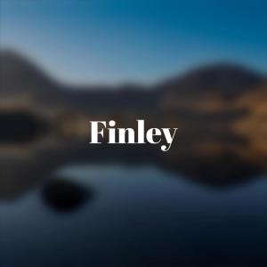 Listen to Patrician song with lyrics from Maudy