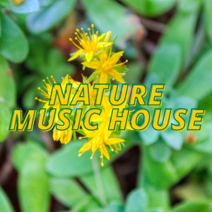收聽Eric Duncan的Acid Wave歌詞歌曲