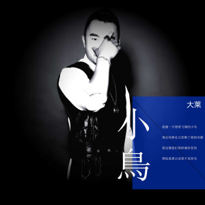 Album 小鸟 oleh 大莱