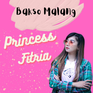 Dengarkan Bakso Malang lagu dari Princess Fitria dengan lirik