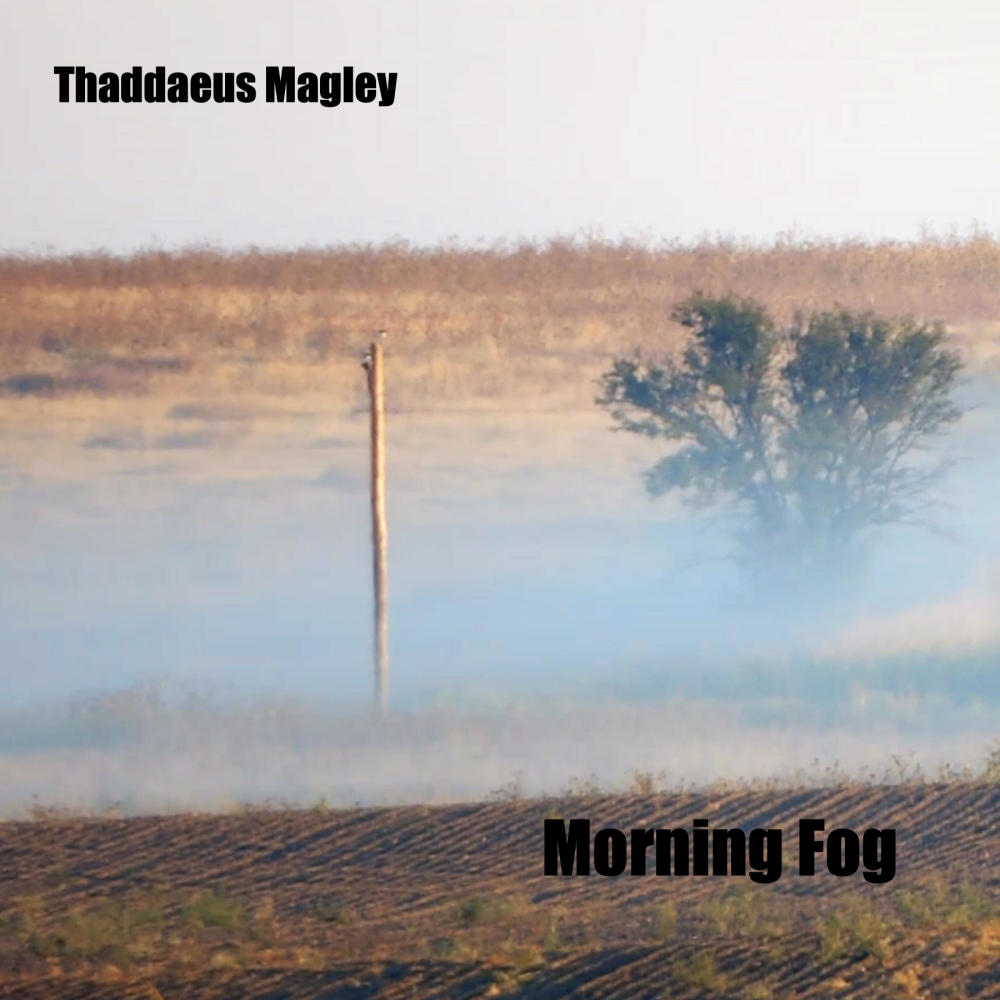 Morning Fog
