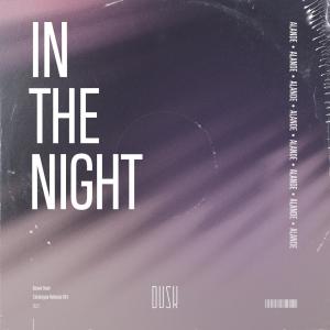 Listen to In The Night song with lyrics from Alande