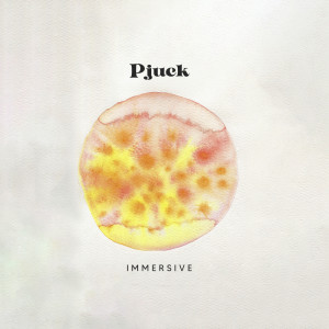 Listen to Immersive song with lyrics from Pjuck