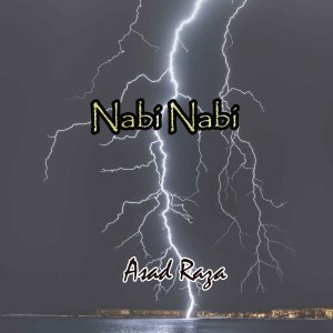 Asad Raza的專輯Nabi Nabi