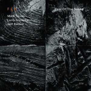 ดาวน์โหลดและฟังเพลง Brothersister พร้อมเนื้อเพลงจาก Fly Trio