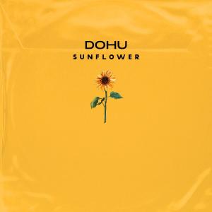 Album Sunflower from 도후