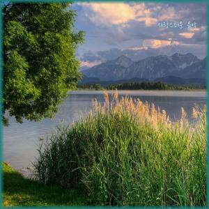 Listen to 사랑스러운 음악 song with lyrics from 레온 LEON