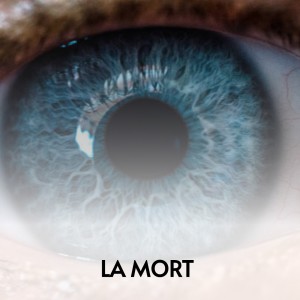 Listen to Yo Soy Del Campo song with lyrics from Raúl Planas
