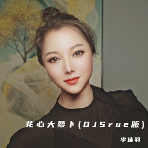Album 花心大萝卜（DJSrue版） from 