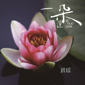 收聽玥瑤的一朵蓮歌詞歌曲