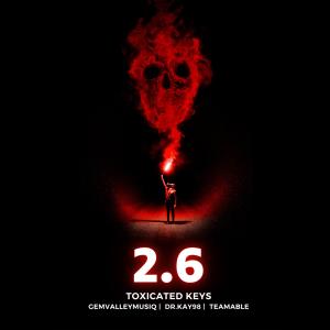 Album 2.6 (feat. TeamAble, GemValleyMusiQ & Dr.Kay98) from Toxicated Keys