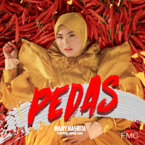 Listen to Pedas song with lyrics from Wany Hasrita