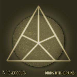 Listen to Birds with Brains song with lyrics from Mr Moodburn