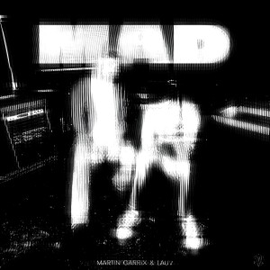 Album MAD (SYNTH+1 Flip) from Ashystep