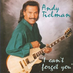 ดาวน์โหลดและฟังเพลง The Music Of The Night พร้อมเนื้อเพลงจาก Andy Tielman