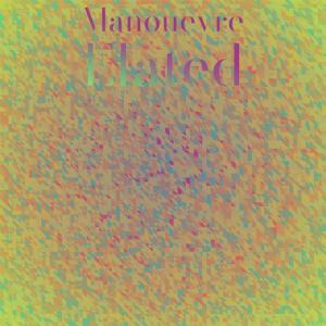 Listen to Manouevre Elated song with lyrics from Nicko Deki