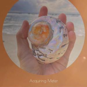 Listen to Acquiring Meter song with lyrics from Lasha Pooll