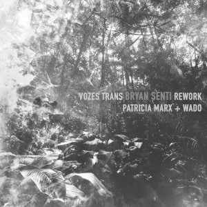 Album Vozes Trans (Bryan Senti Rework) from 