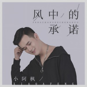 收聽小阿楓的風中的承諾 (DJ光音坊版伴奏)歌詞歌曲