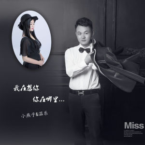 收听小燕子的我在想你 你在哪里歌词歌曲