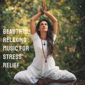 收聽Vimal Kumar的Relaxing Music for Stress Relief, Meditation Music, Sleep Music, Soothing Music歌詞歌曲