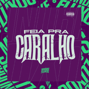 Album Feia pra Caralho (Explicit) from 