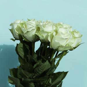 BIAS的專輯Fall In Love