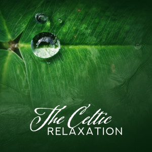 ดาวน์โหลดและฟังเพลง Starry Sky พร้อมเนื้อเพลงจาก Silent Meditation Zone
