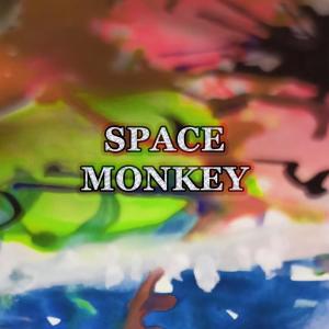 Space Monkey dari Ollie