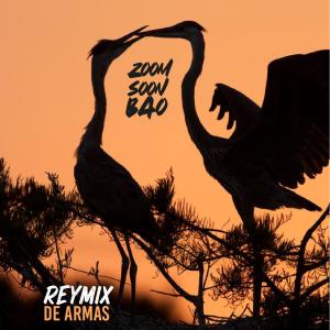 收聽Zoom Soon Bao的Reymix de Armas (Remix)歌詞歌曲