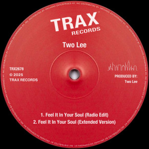 ดาวน์โหลดและฟังเพลง Feel It In Your Soul (Extended Version) พร้อมเนื้อเพลงจาก Two Lee
