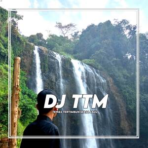 อัลบัม DJ Tewas Tertimbun Masa Lalu ศิลปิน Firman Fvnky