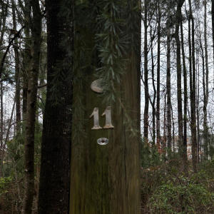 收聽Saint Nikk的Wrath (feat. luvdosi)歌詞歌曲