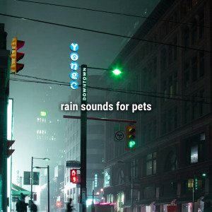 Sound Effects Library的專輯rain sounds for pets