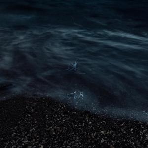 Listen to 迷湖 (音乐永续 作品) song with lyrics from iii irisliu