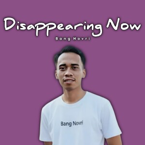 Bang Novri的专辑Disappearing Now (Remix)