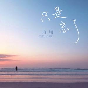 Listen to 只是忘了 (完整版) song with lyrics from 王小钊