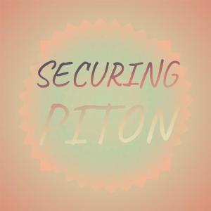 Listen to Brandon Booklover song with lyrics from Syle Shien