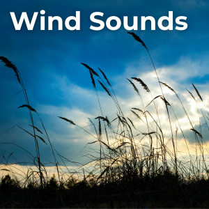 Neightbirds的專輯Wind Sounds