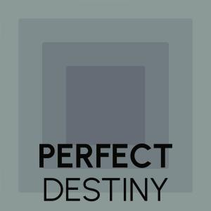 Album Perfect Destiny oleh Various