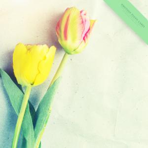 Various Artists的专辑Sweet New Age Piano Collection