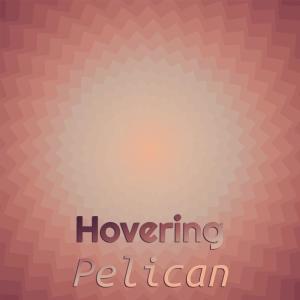 Various的专辑Hovering Pelican