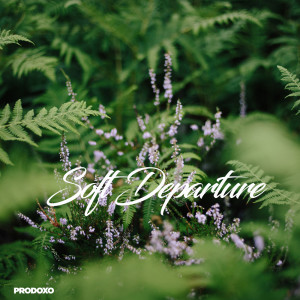 Listen to Soft Departure song with lyrics from Prodoxo
