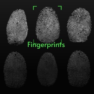 Album Fingerprints from Various