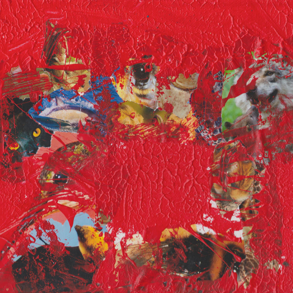 RACING (feat. SHIKA & 808 SALLIE) (Explicit)