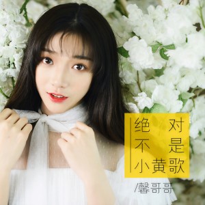 收听馨哥哥的绝对不是小黄歌 (和声伴奏)歌词歌曲