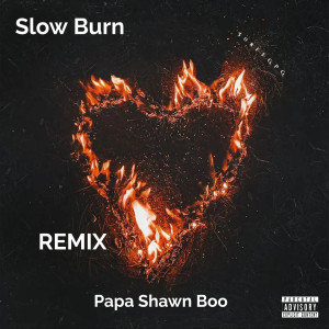 Slow Burn (Remix) dari Papa Shawn Boo