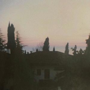 Album i live with a curse from nevrfall