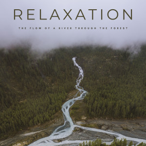 Relaxation: The Flow Of A River Through The Forest