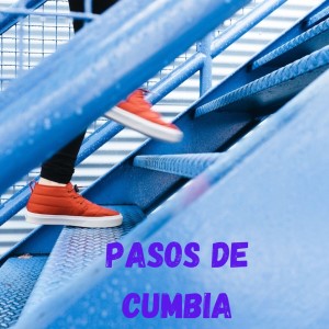 Listen to Cuando Volveras Amor song with lyrics from Tropical Panama